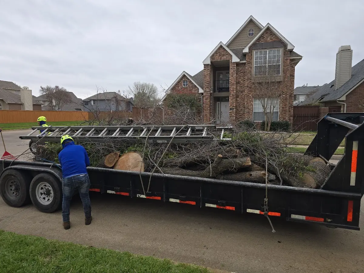 Expert Lot Clearing with proper safety equipment in Combs